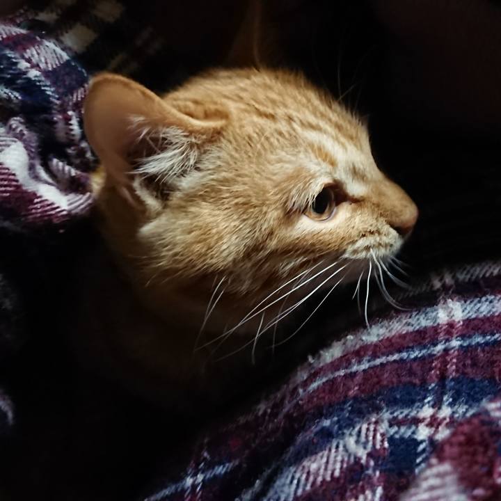 64f144c0 39a8 43c2 8d33 1dcf700d7c39 1641329830141