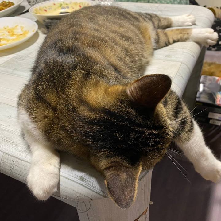 64f1a90c 54af 49e1 8157 a5fd3e7e2535 1630159026557