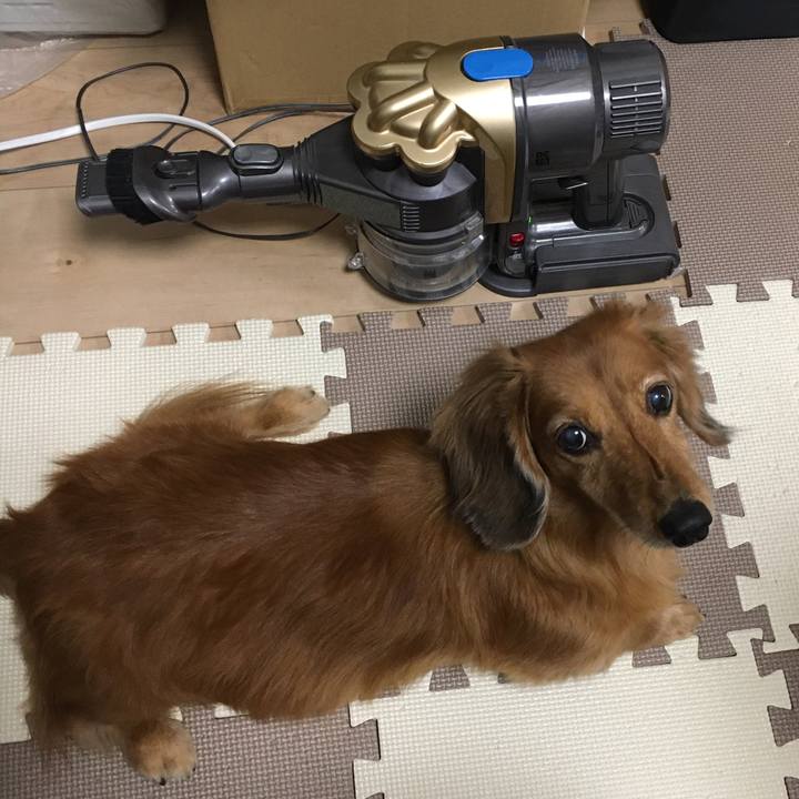 64f1b2e4 fde9 498d bb08 4a1685a6b268 1574943506807