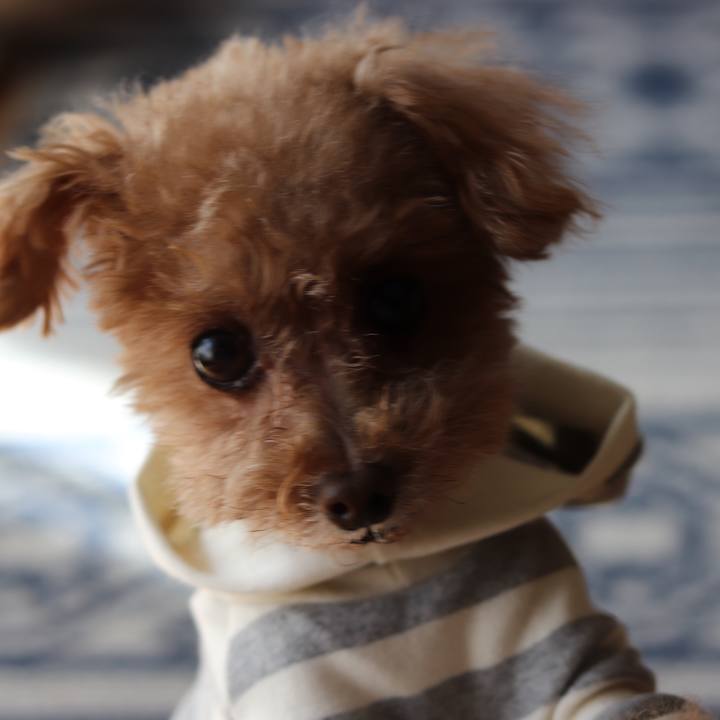 64f1c336 588c 4223 8c33 d5916bc93403 1582113022830