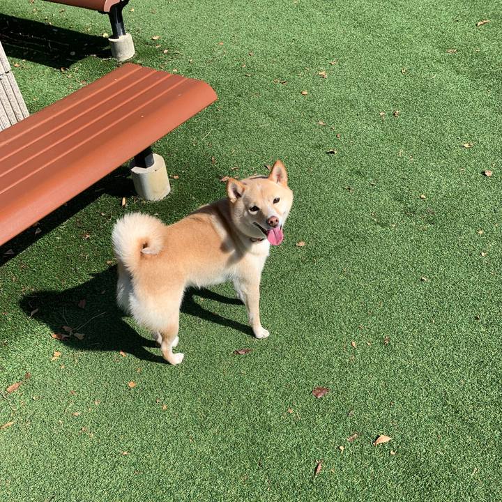 64f1db8e f260 4858 8212 c92b590efc40 1635591044740