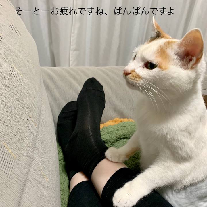 64f20592 3abf 4aac b75a 75e17b42e895 1558752835073