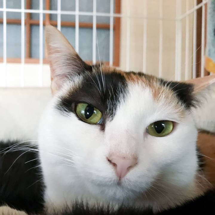 64f221fa dce5 41e4 a5f3 2dece26846c7 1519345417489