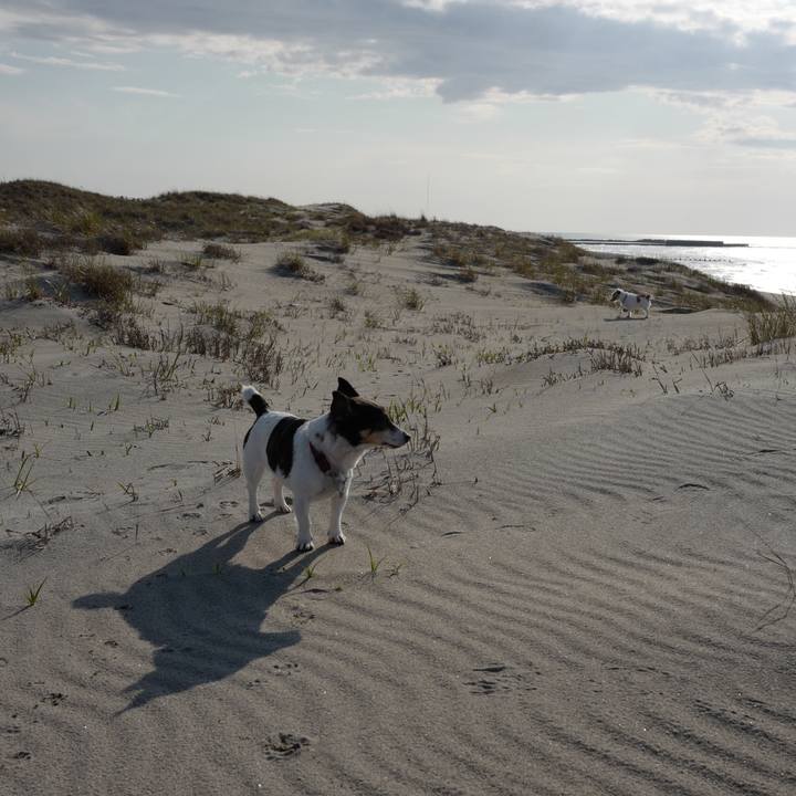 64f22eaa 0c68 4211 a39f 40add9fcf1e3 1555058819994