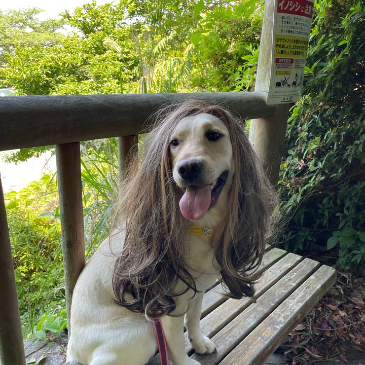 64f28657 f4b6 4161 8bc4 2d5155d886a9 1653147062898