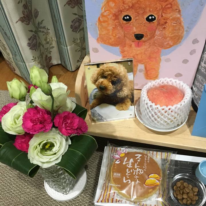 64f2a747 9234 4a58 a40f 344583fabf47 1536482993130