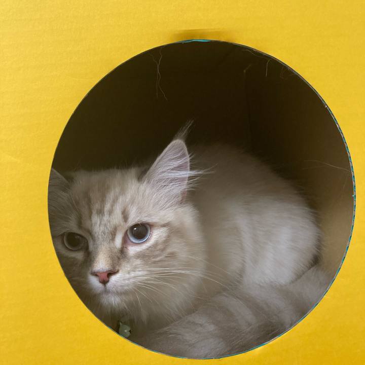 64f2b3e4 dec3 448b 9b66 85e977f2664c 1680268910203