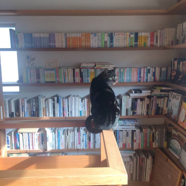 64f2f8f4 65f2 4108 9c55 256c15af7d9e 1519777629993