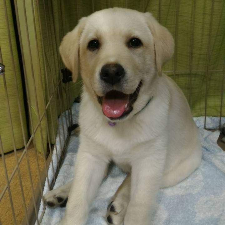 64f31502 473a 41ce bd67 cec0b1ebbc97 1518236558726