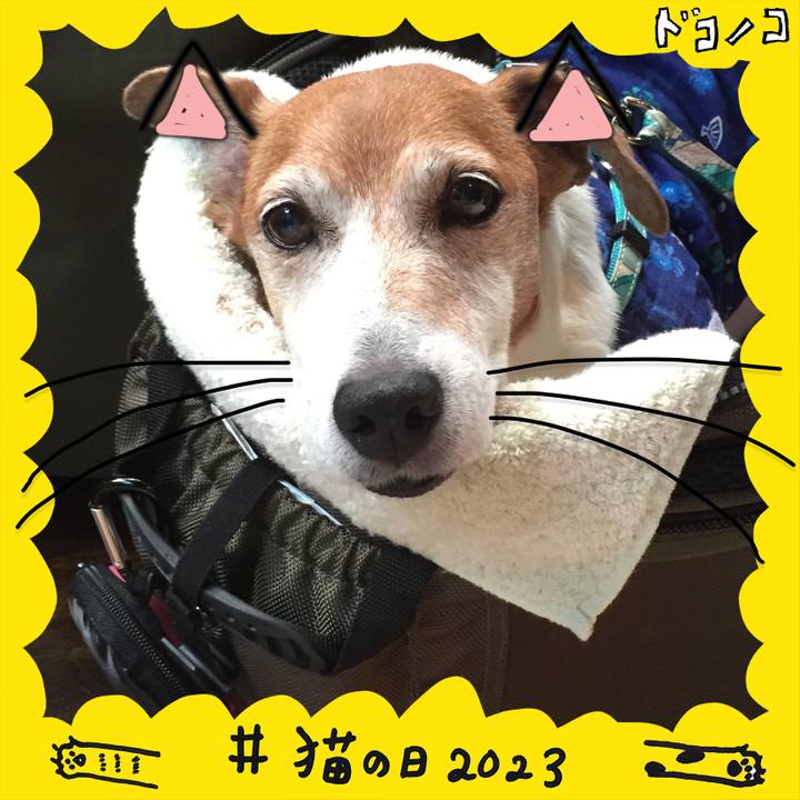 64f3538d 7820 49db b3ff d4701572bfa0 1677061850177