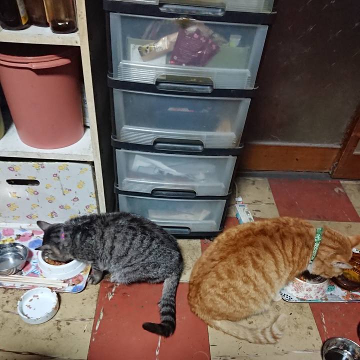 64f35df3 85c9 40f9 814a 32f85c6c41b9 1584003968567