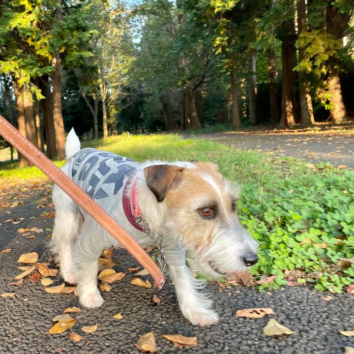 64f368df 6b63 43f8 ba92 a685e070a1b4 1635841903644