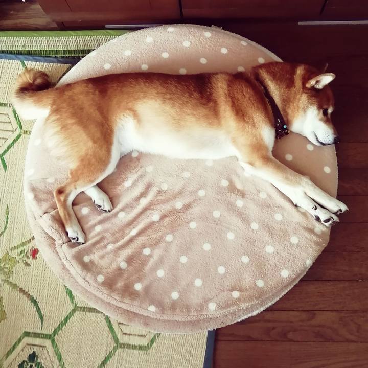 64f37bda 7b0e 4239 a7fd 6dacda20b6ef 1628563557987