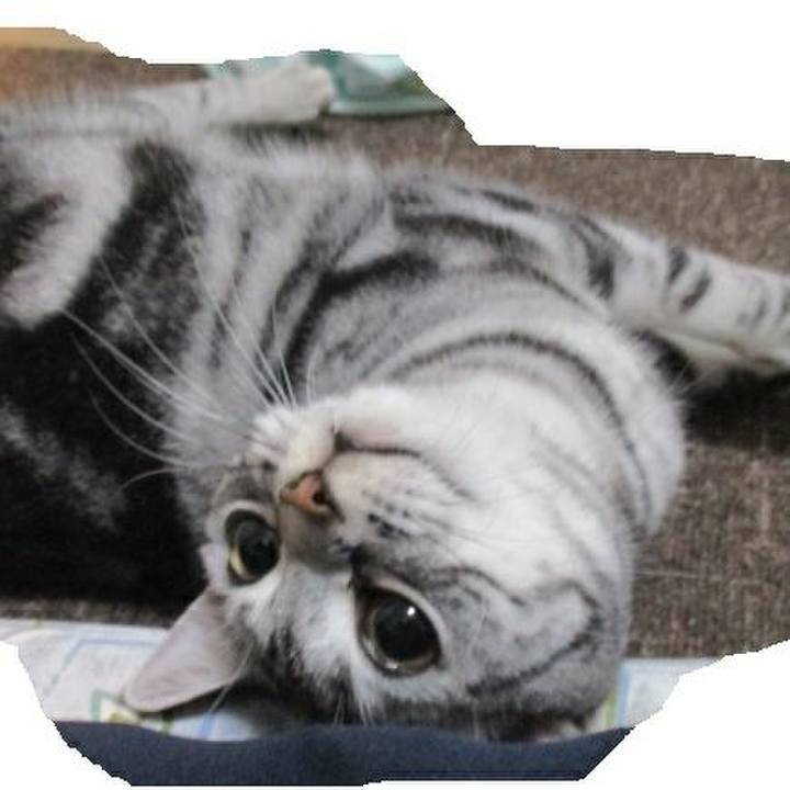 64f382d9 5a7f 43d9 98f2 d7fd2efb1ea3 1551437120546