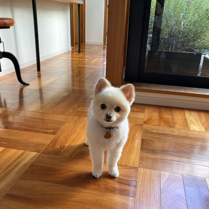 64f391cb e02f 49e1 9d03 9d1367d90ec9 1624246890799