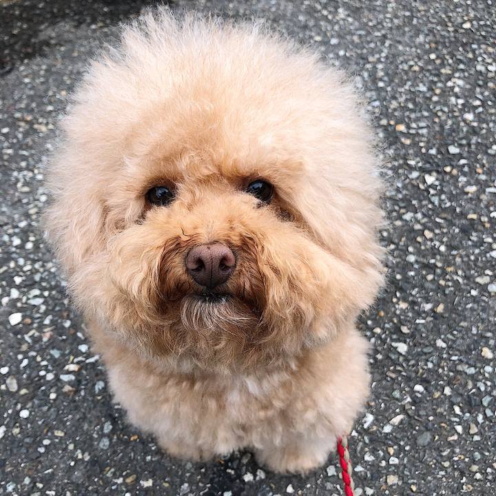 64f3aa18 1bb1 4251 806a 9e25b5f1b1fb 1559099823505