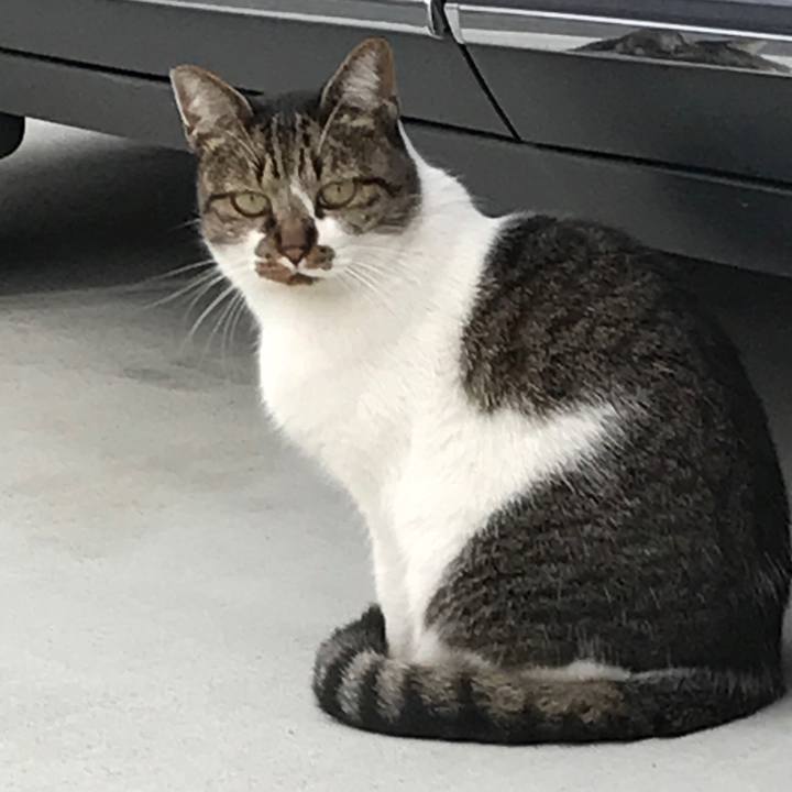 64f3b2b4 2321 441f 80a1 21e6c4e3648f 1579955249443