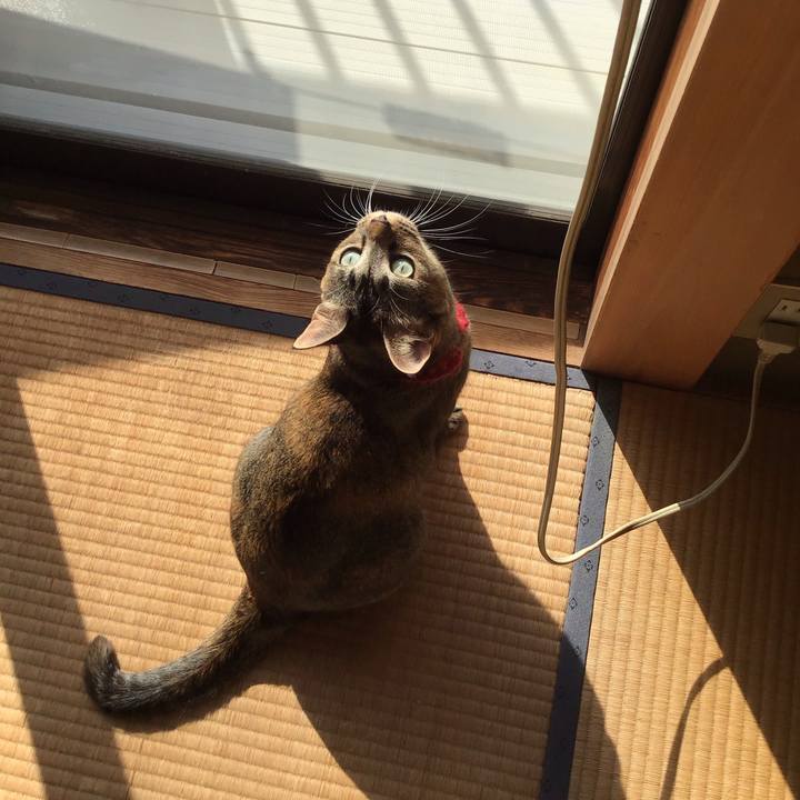 64f3dbf6 8b00 45cc b6a1 6d1eebc6f9ac 1603499931634