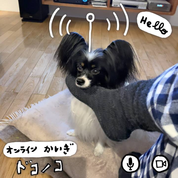 64f3e775 6199 443b 9bcb 9482bb427379 1590721521795