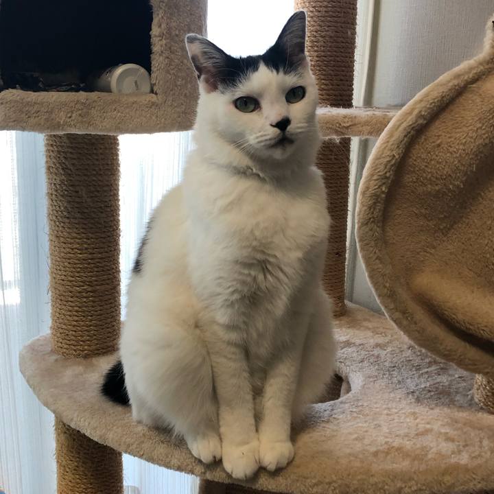 64f3fc37 9433 4032 bfa3 7029cb3e534e 1574292948996