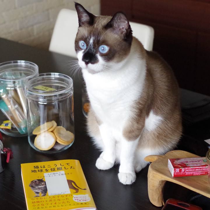 64f474e2 34d0 437b acee dc729610b7a7 1521834540080