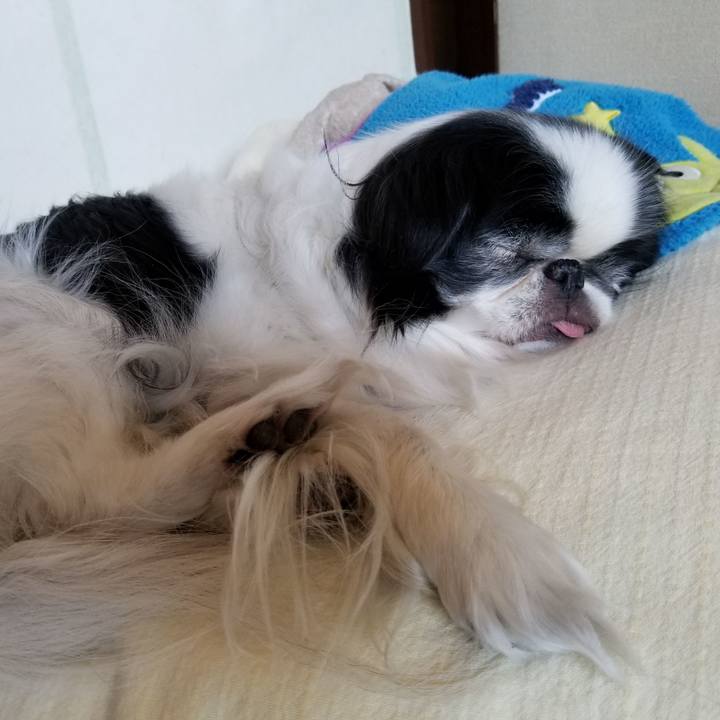 64f4a98a 354b 4e9b b8b3 56771c3b57c5 1526812660389