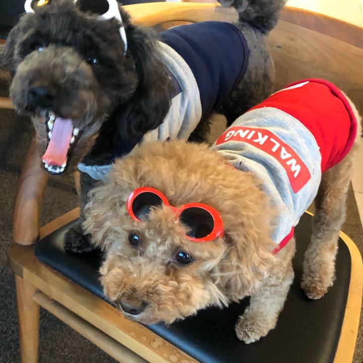 64f4b4c7 d43a 4af5 a0df 32fd728dd257 1594368709997