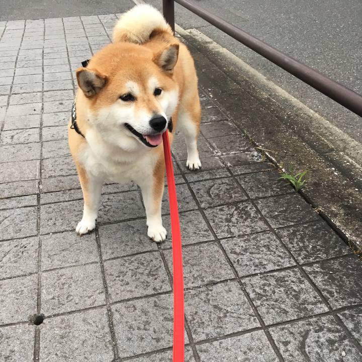 64f4c316 9f60 41d5 9246 8647292863b0 1592471038399