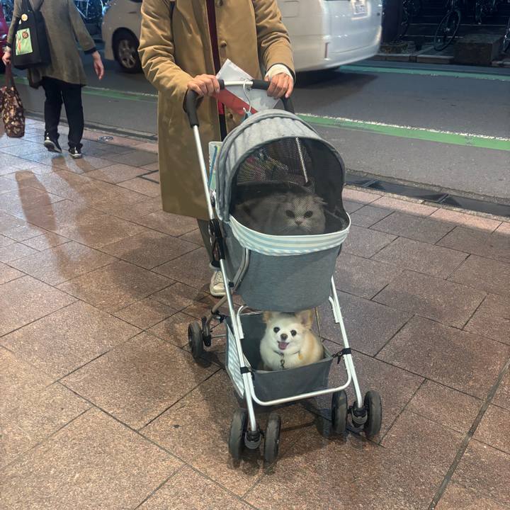 64f4d6f6 57f3 4224 809f b76f8e9bcfdd 1746435136822