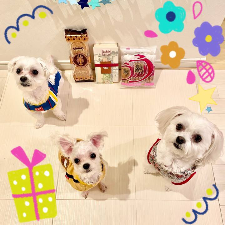 64f51f7a 83cb 4d17 a619 b2f9bb07b409 1637033059719