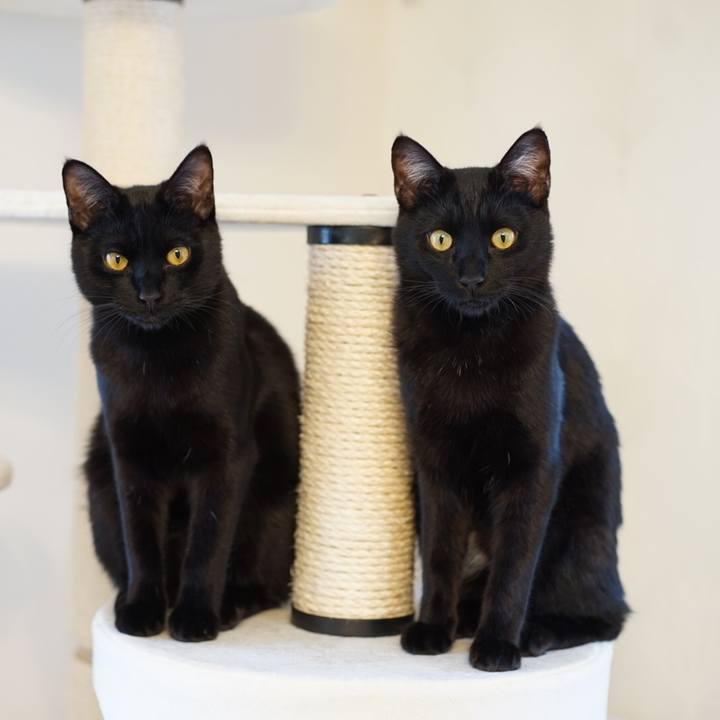 64f543f6 ff60 413e a9f5 dbd81ee93001 1517062623458