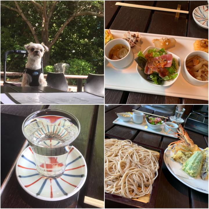 64f5473e af9f 46a7 b119 fa7c32e7281d 1557564704722