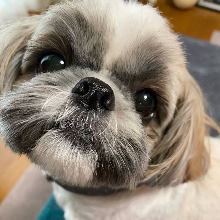 64f55dae 3a66 4c7b a427 37e5feb4816b 1689682080814