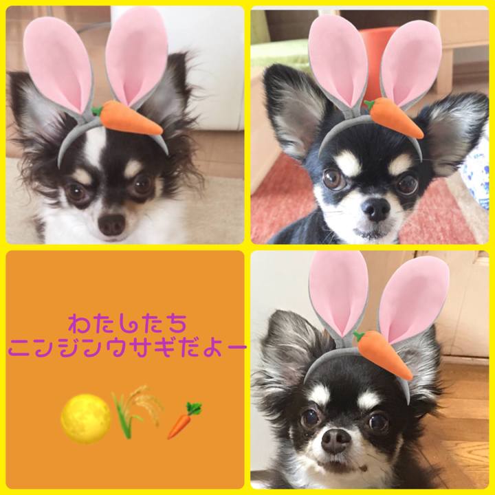 64f576ac c686 4c00 b88f f566ae76e44a 1568342887771