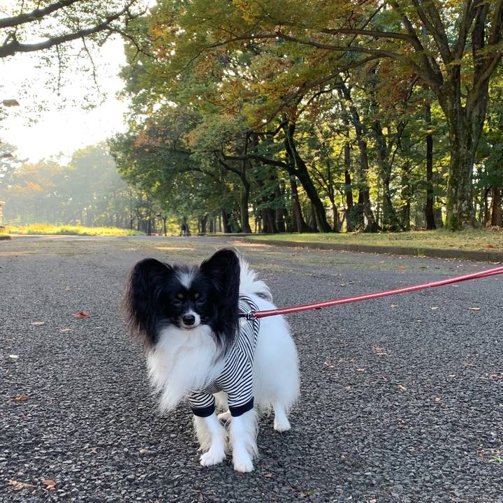 64f58549 3033 4987 af32 328c65a68a35 1540780948322