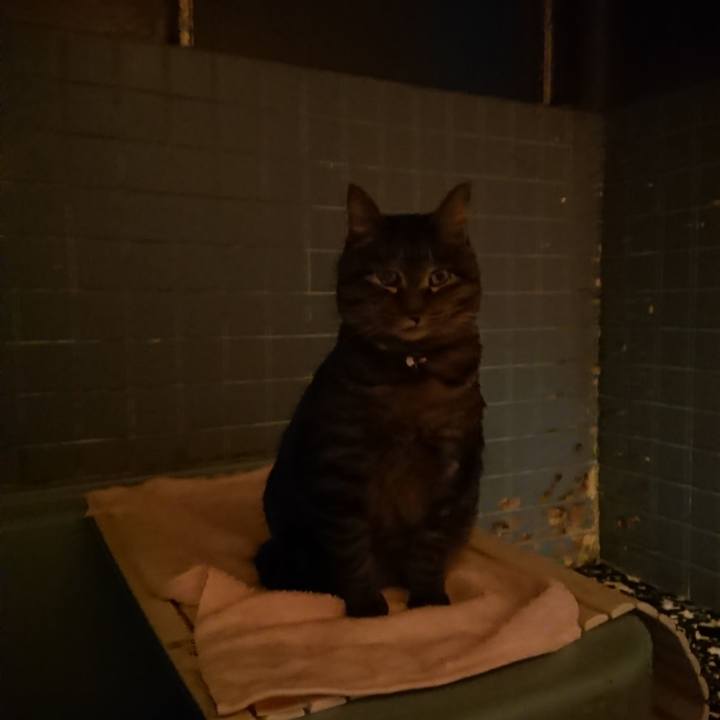 64f59db8 efd5 4412 930e e9b569b27ada 1644229435571