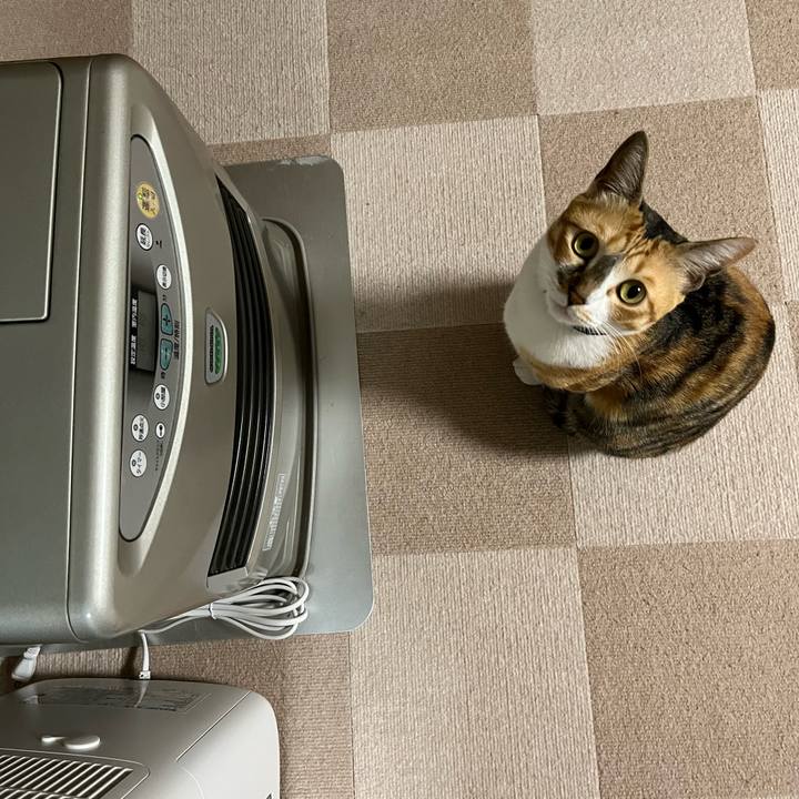 64f5a71e 85b5 432c acde a44ddcb247cb 1702982659116