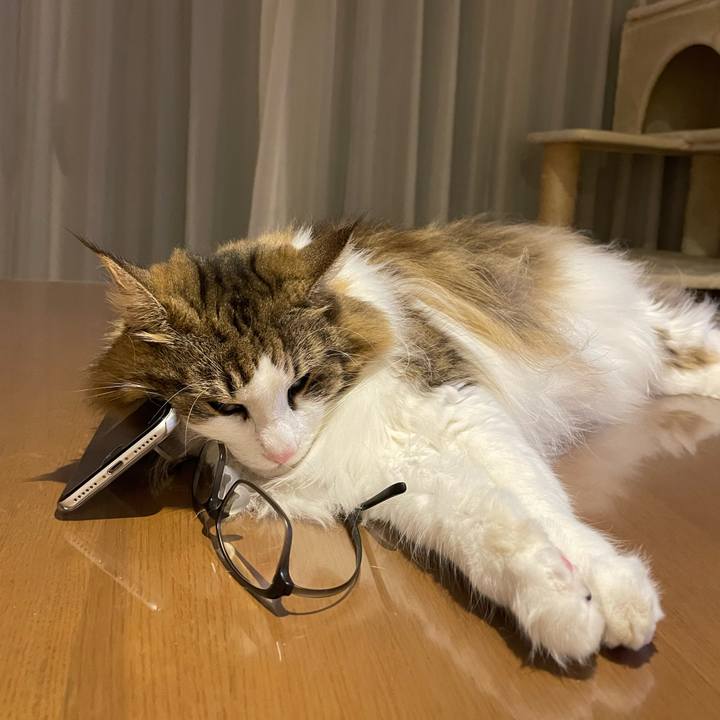 64f5ae29 57fa 43b5 89fb 7b1ef7be8c8d 1663585179559