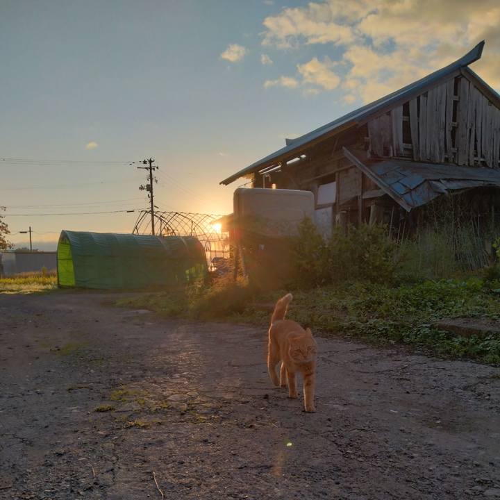 64f5c8bc b191 421e 86dd 1e48bdd164a3 1666219129958