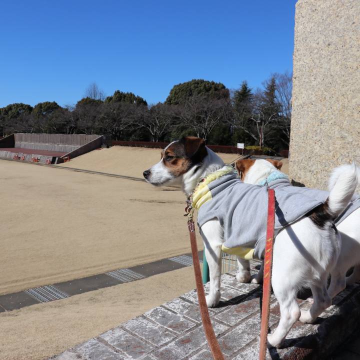 64f5c9be ea1f 4a2b b932 3161bb68cfb5 1517977454038