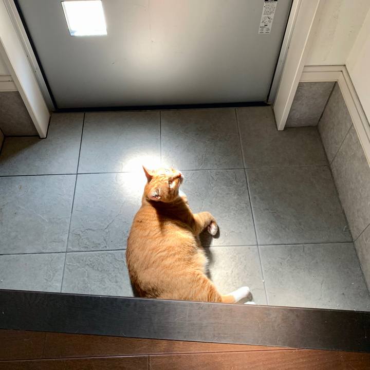 64f5cc42 3fc9 43e0 8ce1 291d85e27db8 1701223443736