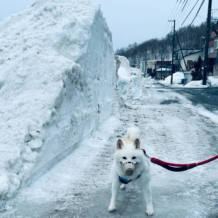 64f5d022 6c62 4975 96e9 0847c746176d 1772230175504