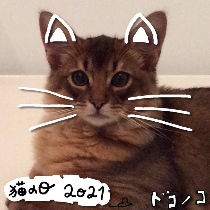 64f5d6c5 a9d2 4c05 b349 e35cd578c0a1 1613962365107