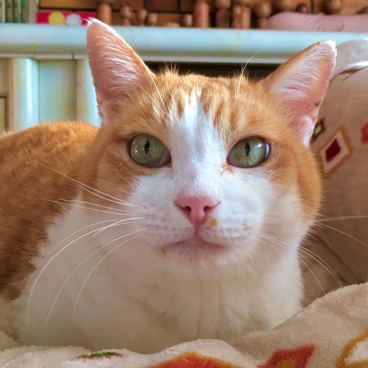 64f621b8 8aa1 4f1c 9060 7527c9055af4 1606726947032