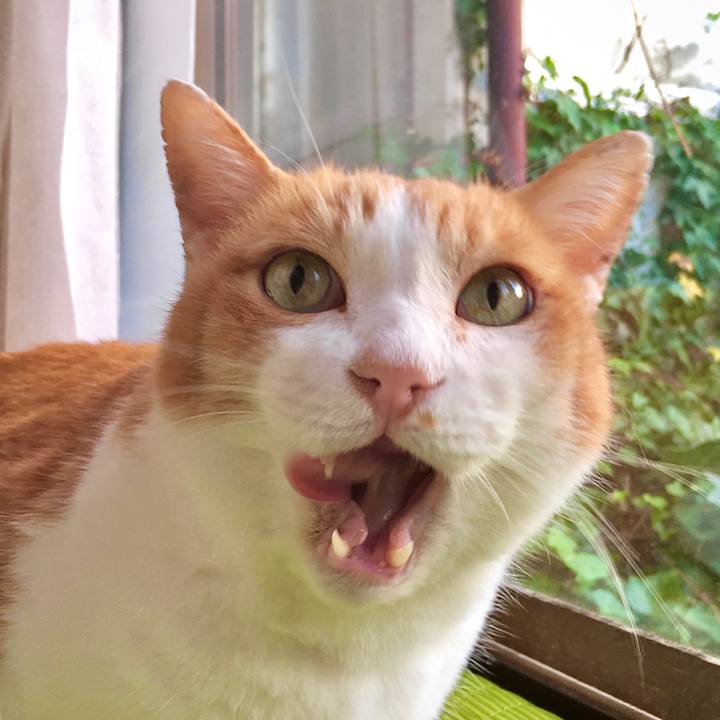 64f650b5 7433 4332 af15 e6ae488b830a 1607070886544