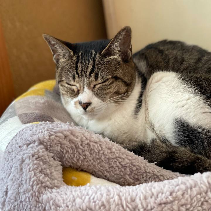 64f66218 5b04 4d9d b495 f65c1172b2f6 1611884544371