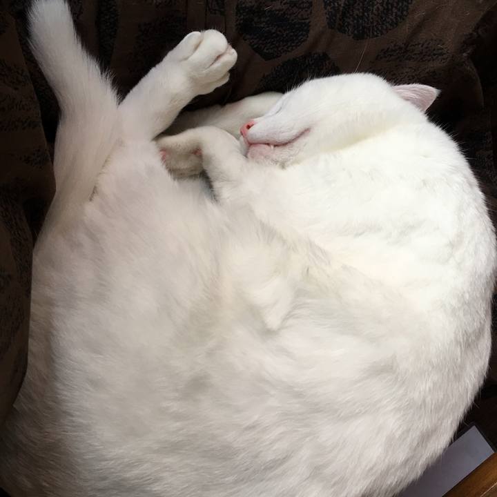 64f66a64 dded 45a7 b34f ba1c788266fc 1522803792589