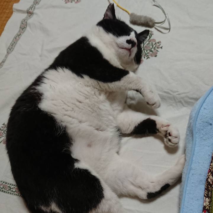 64f67df0 41bc 4d7f 83ae 72c8a4e4fa06 1536661833254