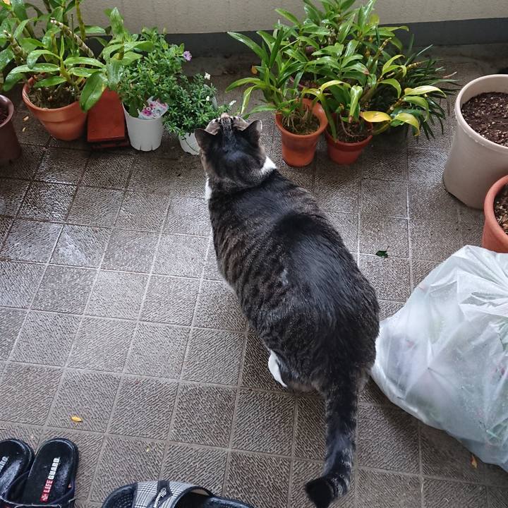 64f6cccc 0b34 411a a4c7 5629d4f41db3 1558392161505