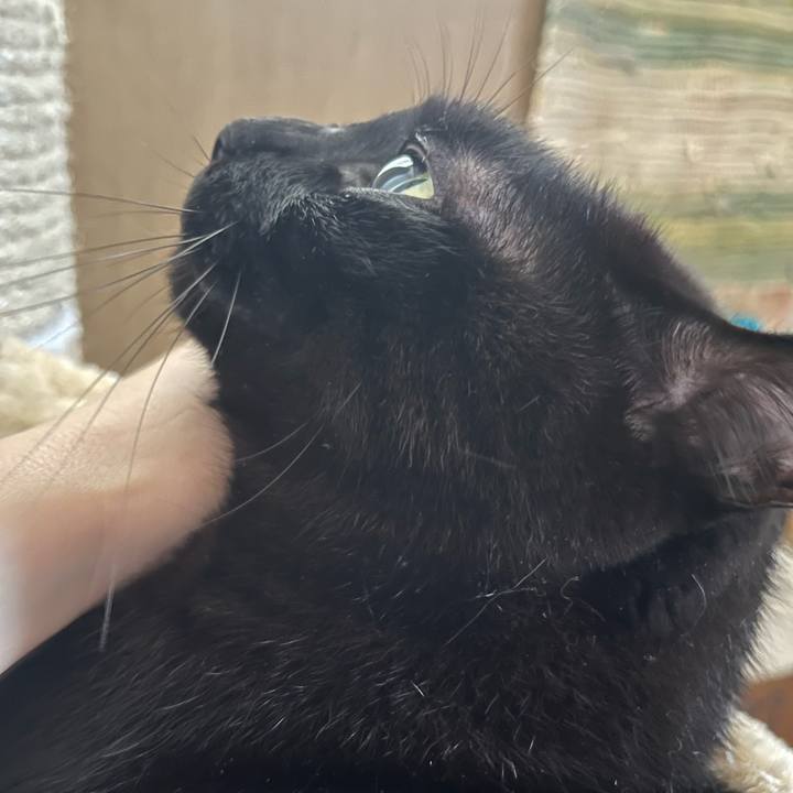 64f6d408 0a03 4cde 8194 627c42d7ce9f 1761783551940